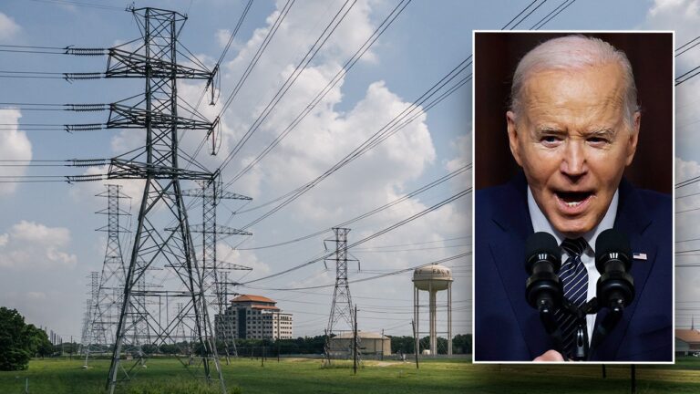 Biden power lines