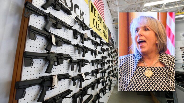 grisham split firearms sales