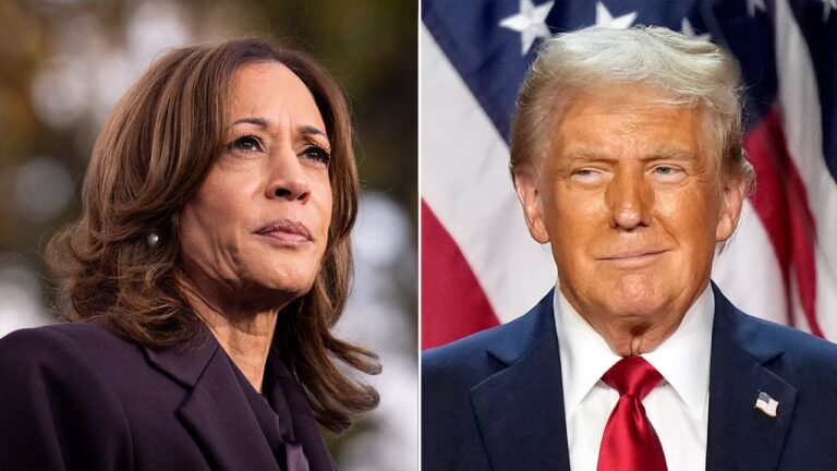 1731399021 kamala harris donald trump