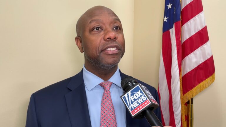 tim scott fox news intv dc nov. 13 2024