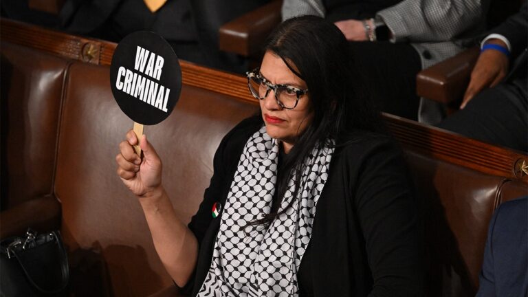 tlaib netanyahu congress