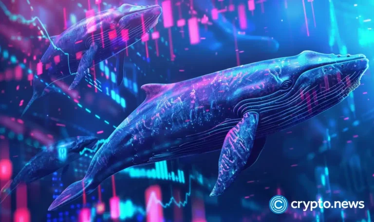 crypto news whale option02