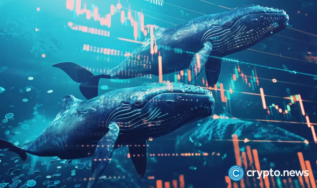 crypto news whale option03.webp