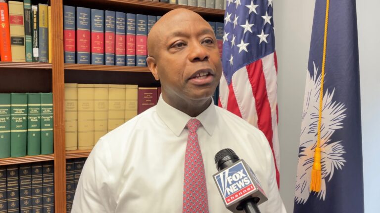 tim scott fox news intv dc feb. 19 2025