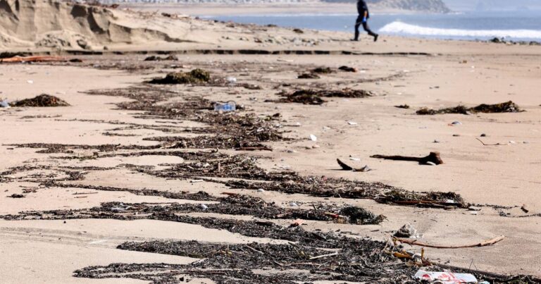 urlhttps3A2F2Fcalifornia times brightspot.s3.amazonaws.com2Fa72Fb82F318169774439ac41b1f5dc63cfe22F1495616 me fire debris washing up on beach cmh 02